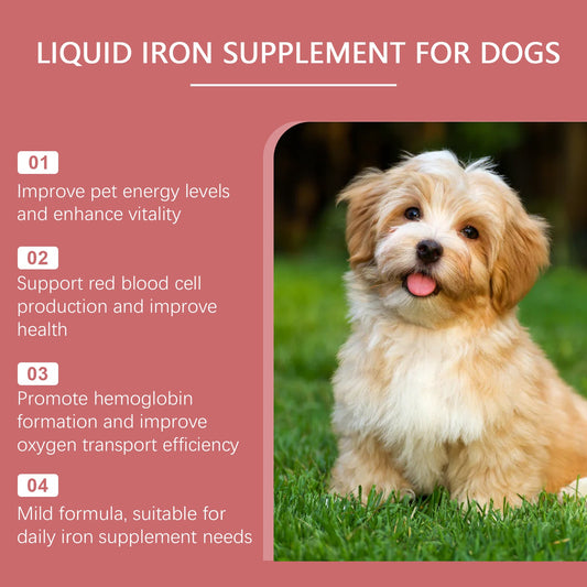 Dog Health Syrup Gentle Absorption Vitality Care Liquid Drops