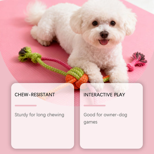 Chew Resistant Boredom Busting Daily Interactive Play Toy For Dogs A Knotted Rope Toy