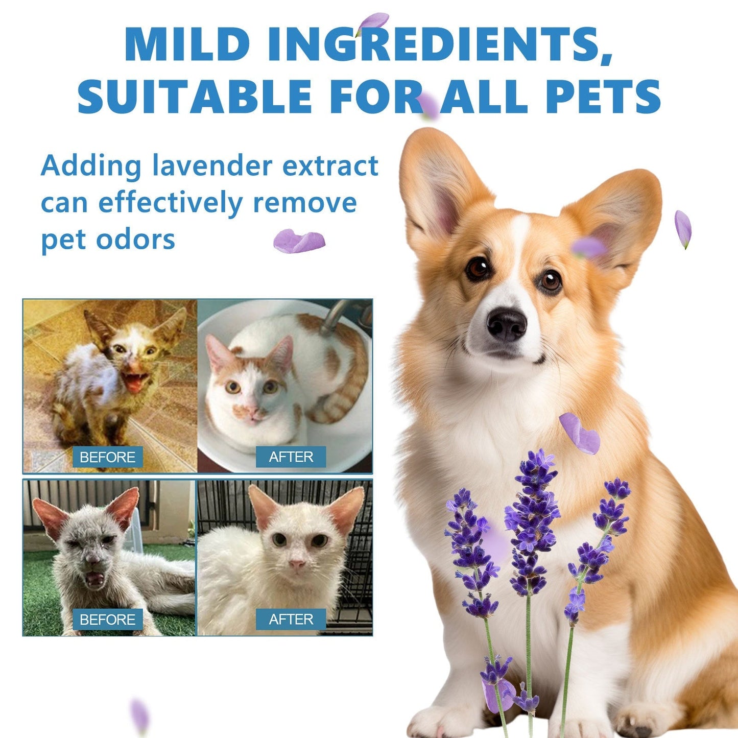 Pet Leave-In Conditioner Scented No-Rinse Coat Care Serum 8oz - Detail Angle 4 | Majestic Pet Kingdom