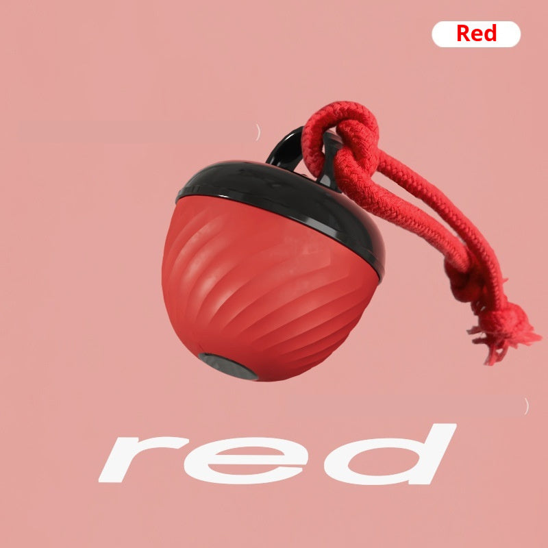 Smart Bite-Resistant Dog Toy Ball With Teeth-Grinding And Sound-Producing Features | Purrfect Pet Kingdom