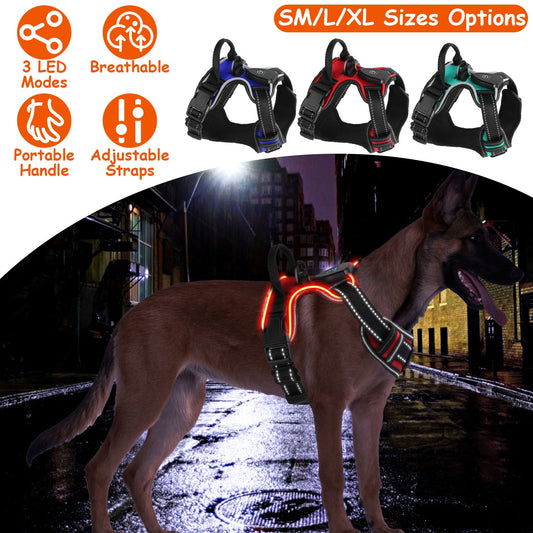 Light Up Dog Harness Rechargeable LED Dog Harness No Pull Lighted Dog Vest with Handle for Small/Medium/Large Dogs | Purrfect Pet Kingdom