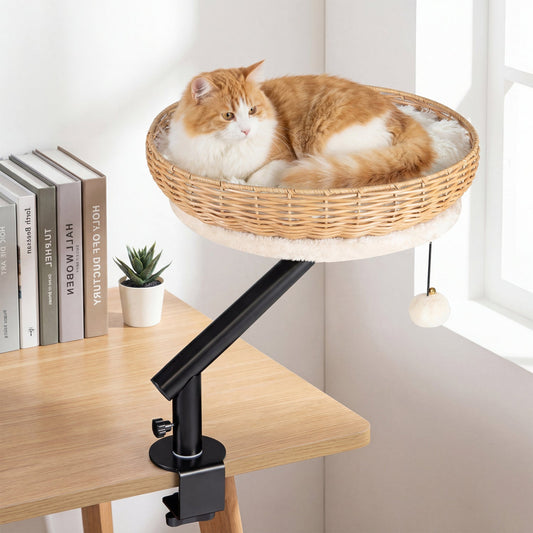 Cat Desk Bed with Removable Padded Cushion for Indoor Cats - Majestic Pet Kingdom