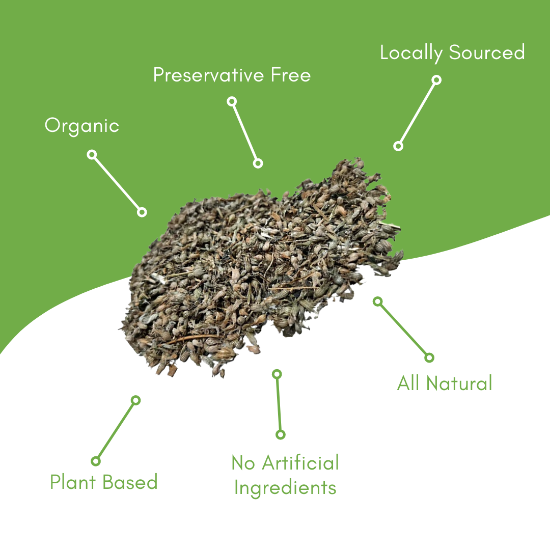 Catnip Pure Natural Organically Grown Loose Leaf Herb 1lb Ba