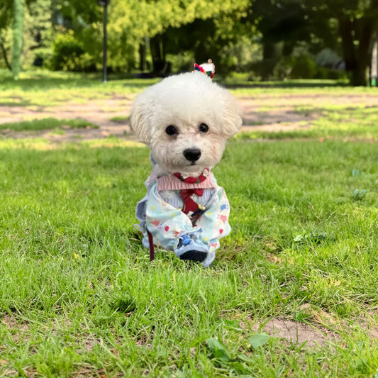 pet-stroller,-dustproof-pants,-summer-jumpsuit,-leg-luxury-view-2 | Majestic Pet Kingdom
