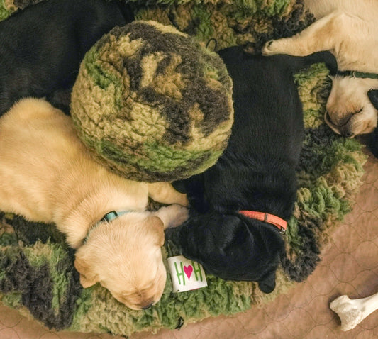 Pet Supply Product | The Finest Market