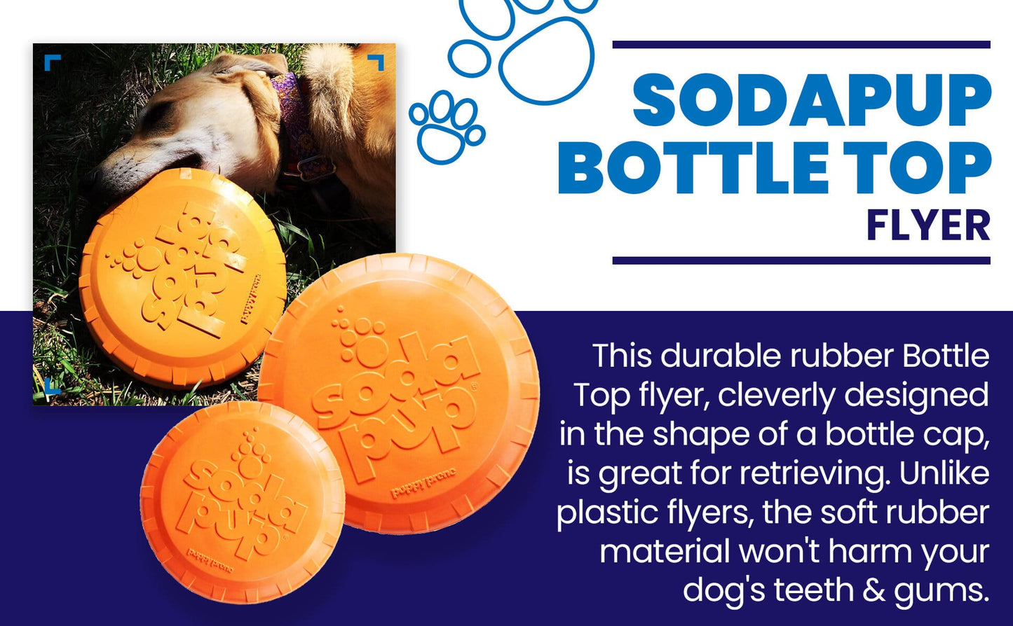 Pet Supply Product | The Finest Market