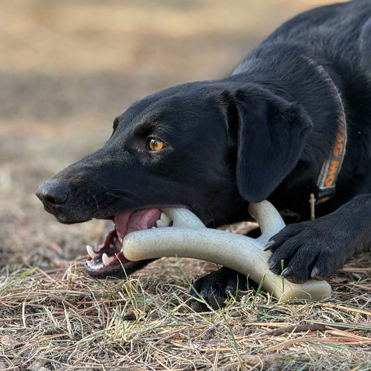 Dog Chew Toy Ever Antler Elk Shape Nylon Power Chewer Bone - Detail Angle 2 | Majestic Pet Kingdom