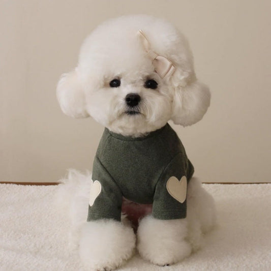 teddy-bear-york-sharberd-velvet-hoodie-pet-love-embroidery-warm-clos-luxury-view-2 | Majestic Pet Kingdom
