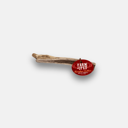 Dog Antler Chews Reindeer Organic Natural Long Lasting Bone - Detail Angle 2 | Majestic Pet Kingdom