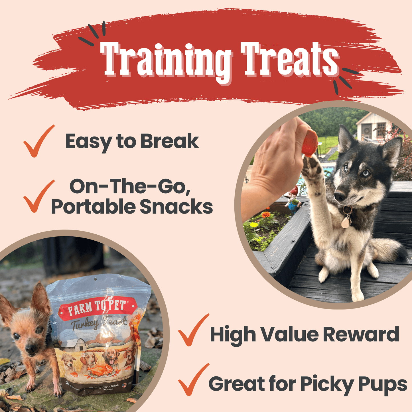 Dog Treats Turkey Feast Chips Single-Ingredient Natural Bite
