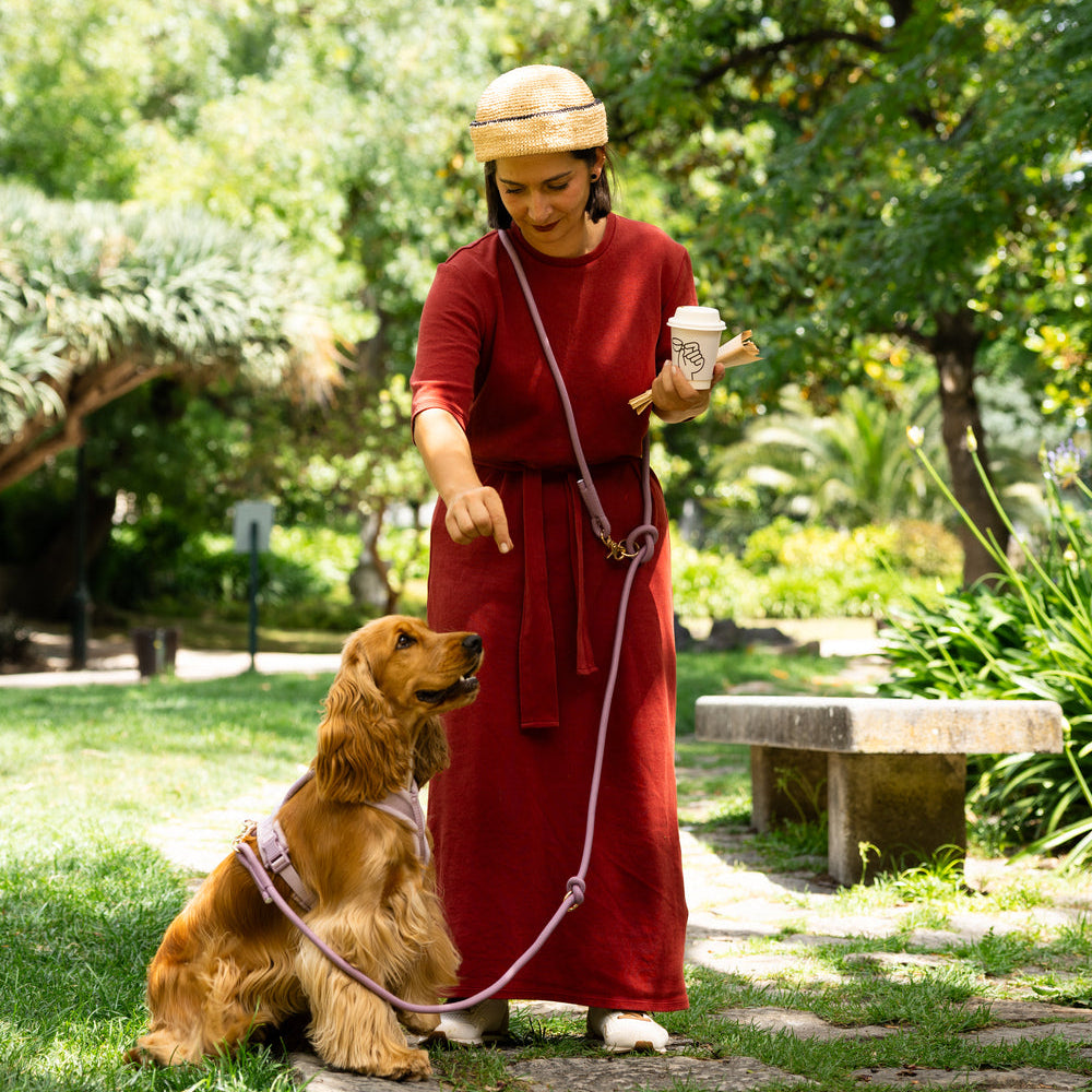'Bordeaux' - Hands Free Braided Leash | Purrfect Pet Kingdom