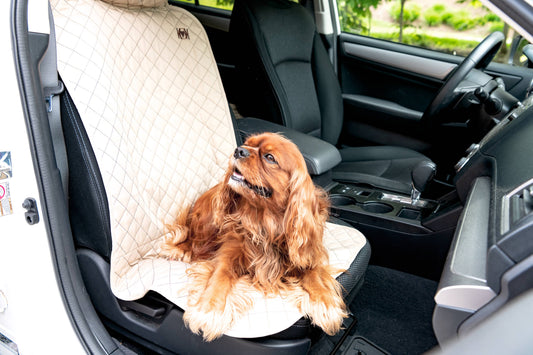 Pet Supply Product | The Finest Market