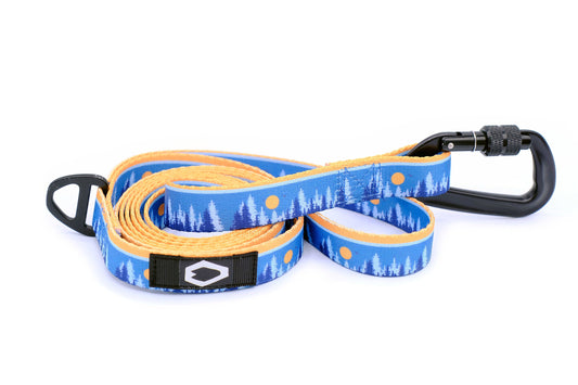 Dog Leash Heavy Duty Nylon Outdoor Walking Lead with Clip