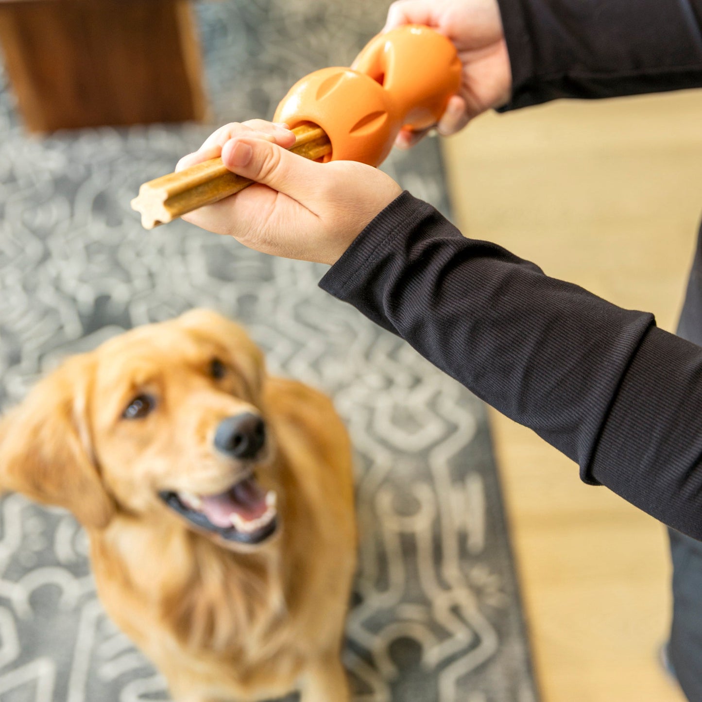 Dog Dental Sticks Small Natural Chews Oral Health Breath