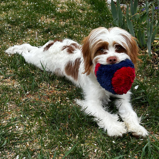 Nuggle Ball