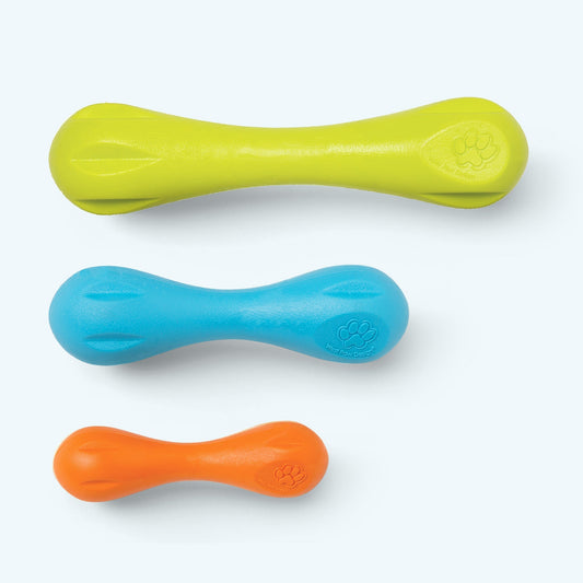 Hurley Durable Chew Fetch Bone Dog Toy for Tough Chewers