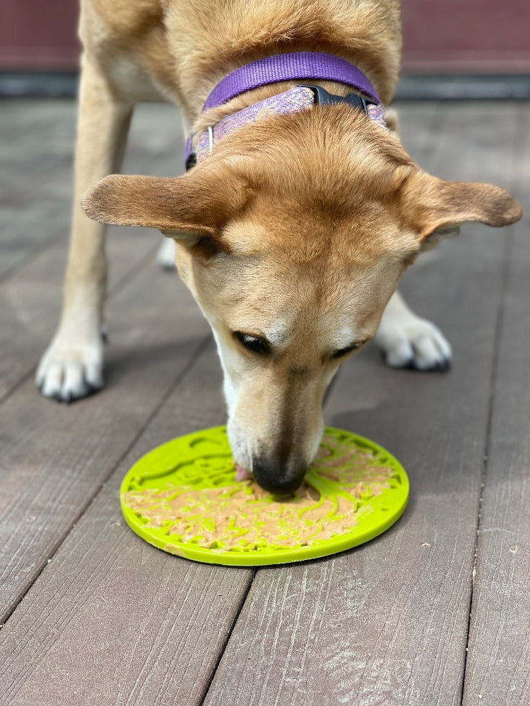 Tree of Life eMat - Enrichment Lick Mat For Dogs and Cats - - Majestic Pet Kingdom