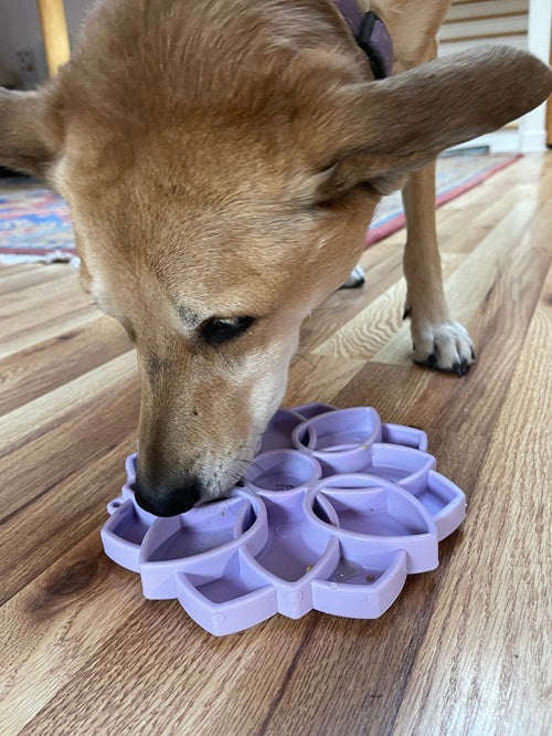 Dog Bowl Mandala Softie eTray Shallow Slow Feeder Dish Bowl