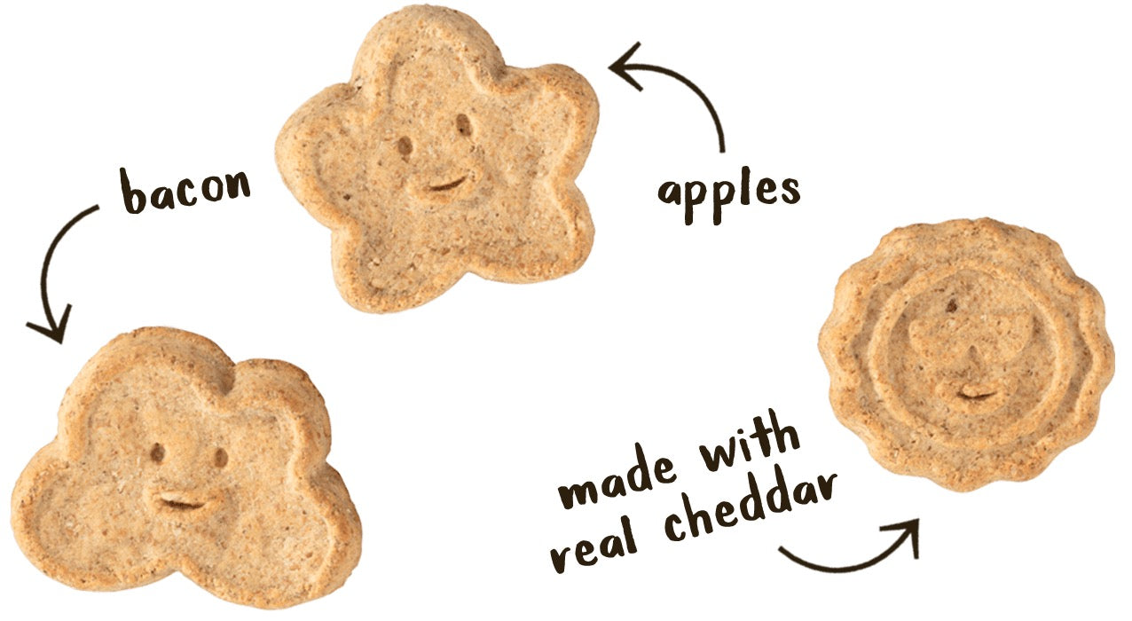 Dog Treats Wagmore Bacon Cheese Apple Crunchy Biscuits 16oz