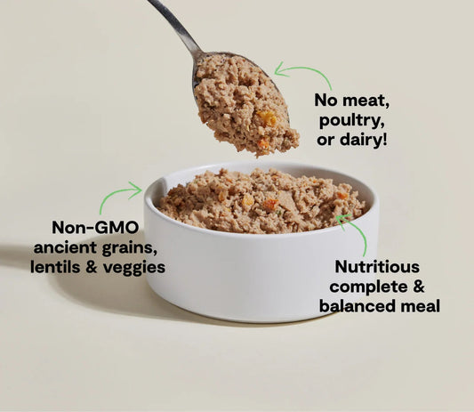 Open Farm Kind Earth Plant Pate with Ancient Grains Wet Dog Food (12.5oz) - Majestic Pet Kingdom