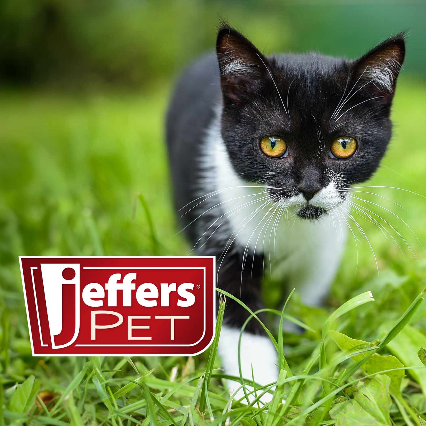 Luxury Pet Essentials - Purrfect Pet Kingdom™