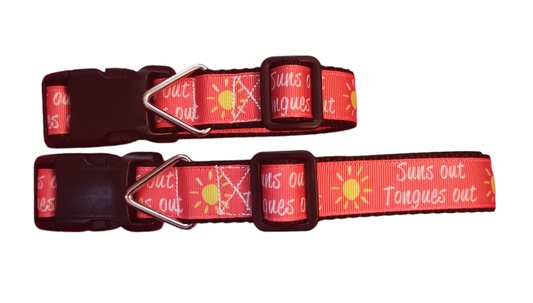 Sun's Out Tongue's Out Black Nylon Dog Collar MD, LG, XL, Leash | Purrfect Pet Kingdom