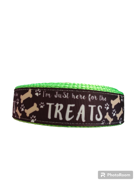 Here For The Treats Neon Green Nylon Dog Collar MD, LG, XL, Leash | Purrfect Pet Kingdom