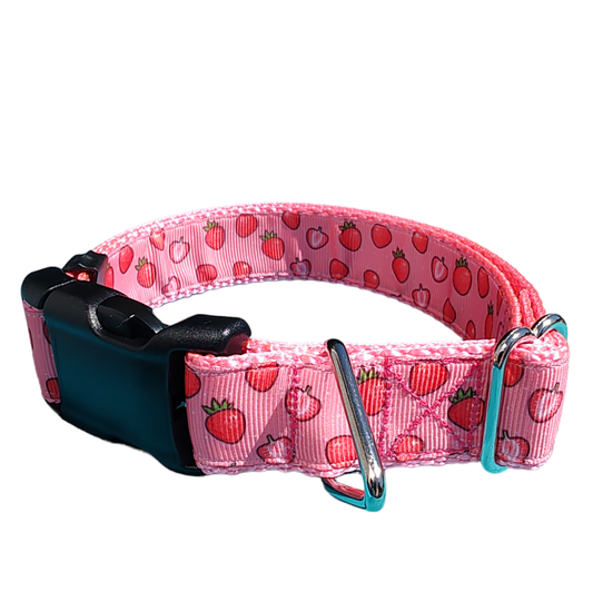 Dog Collar Strawberry Slices Pink Sweet Summer Fruit Printed Nylon