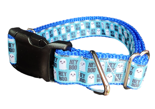 Halloween Hey BOO! Nylon Dog Collar | Purrfect Pet Kingdom