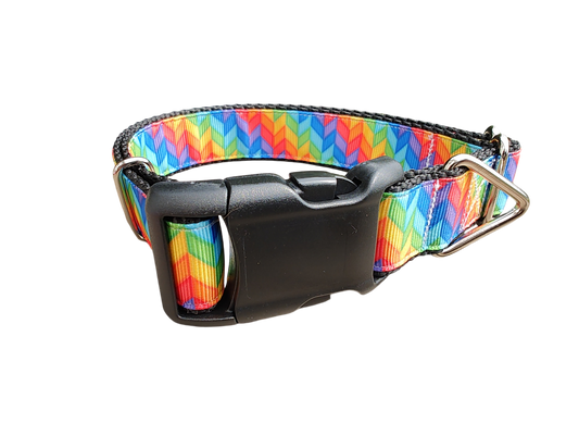 Rainbow Rays Nylon Dog Collar | Purrfect Pet Kingdom
