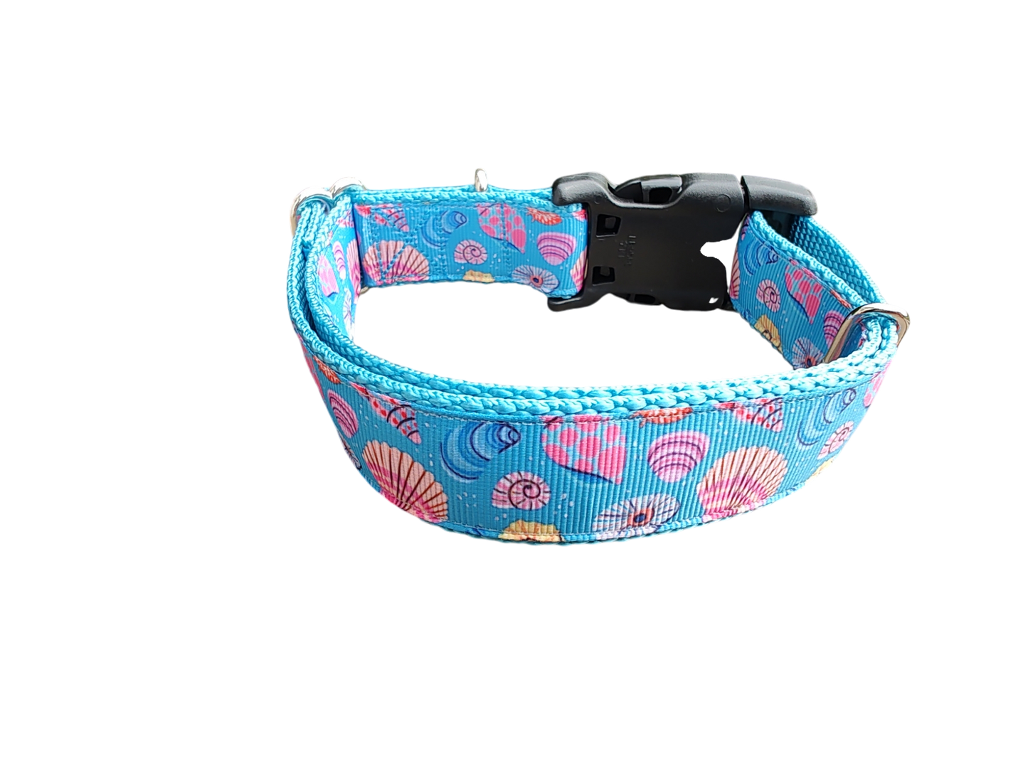 Seashells Nylon Dog Collar | Purrfect Pet Kingdom