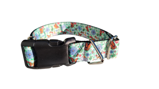 Monarch Butterfly Nylon Dog Collar | Purrfect Pet Kingdom