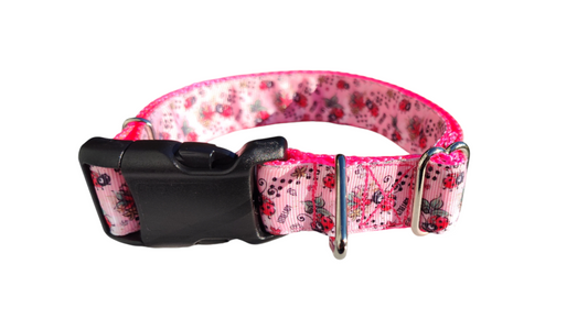 Little Lady Ladybug Nylon Dog Collar | Purrfect Pet Kingdom