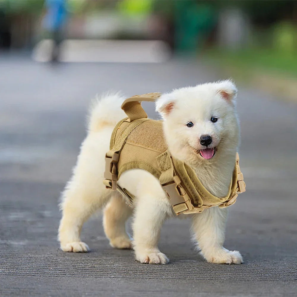 Tactical Puppy Harness For Small Dogs Adjustable Cat