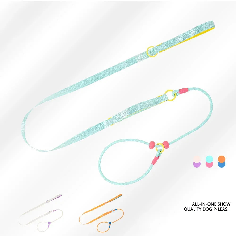 Dog Leash Colorful Braided Nylon Round Rope Walking Hand