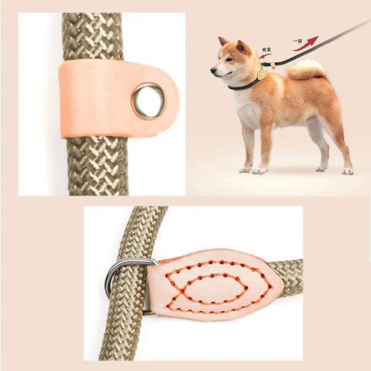 Dog Training Leash Heavy Duty Nylon P-Chain Slip Lead Rope - Detail Angle 2 | Majestic Pet Kingdom