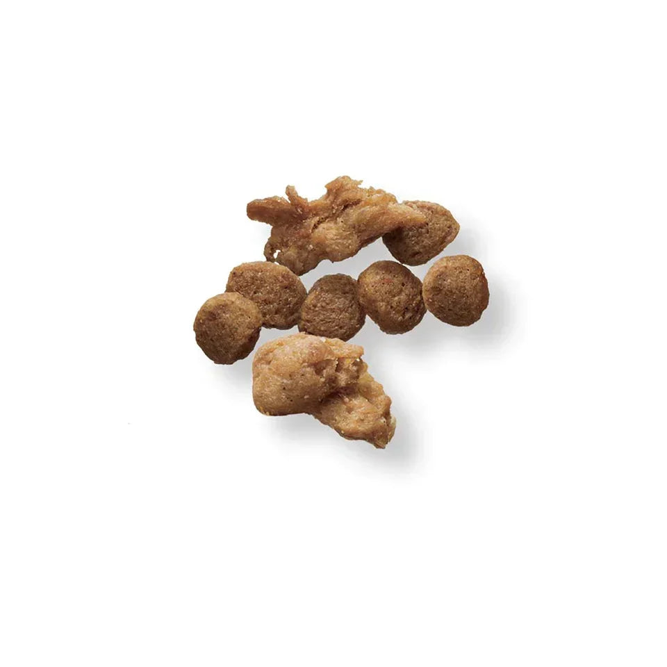 Dog Food Pro Plan Small Breed Shredded Chicken Rice Dry 6lb