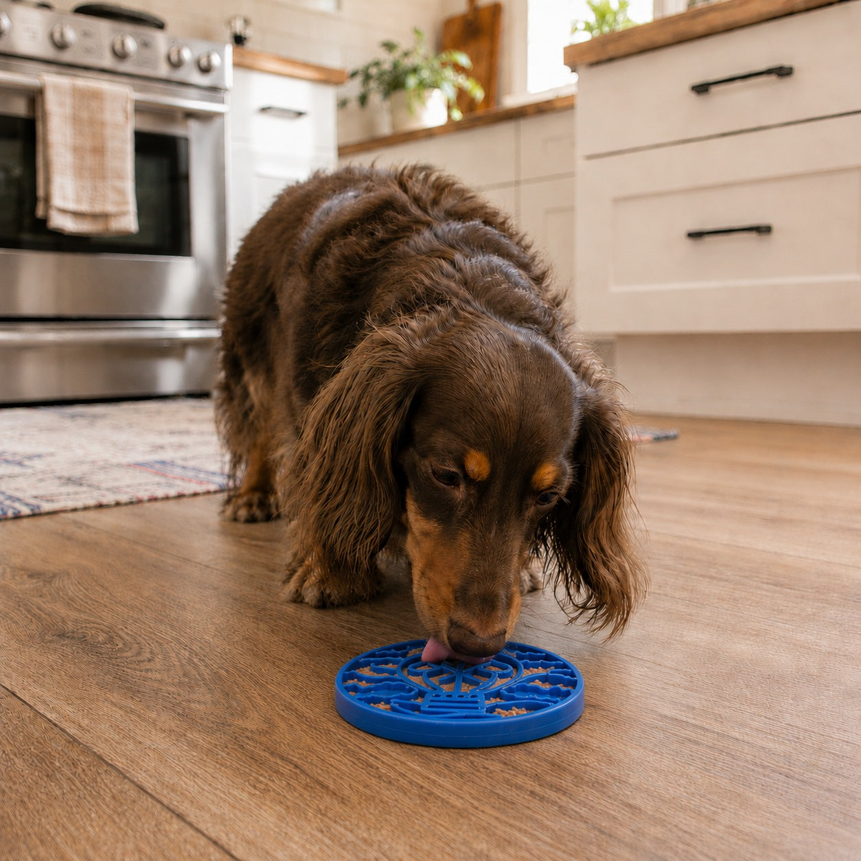 Dog Lick Mat Air Nylon eCoin Durable Interactive Treat Plate