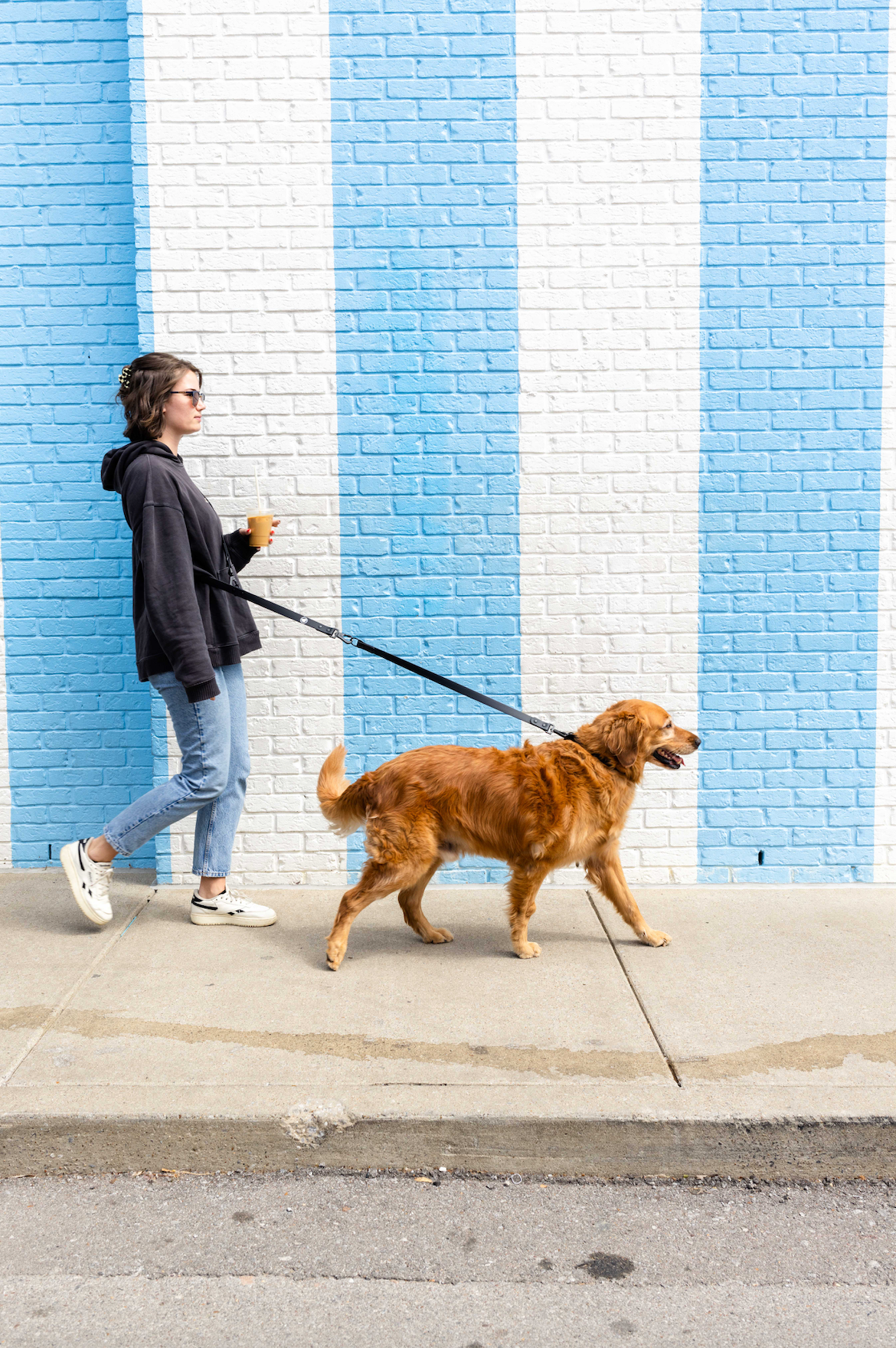 Black Extension Dog Leash – Adjustable & All-Weather