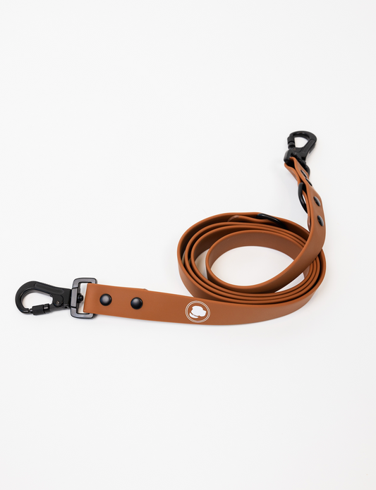 Coco Brown Adjustable Dog Leash – All-Weather, 54"