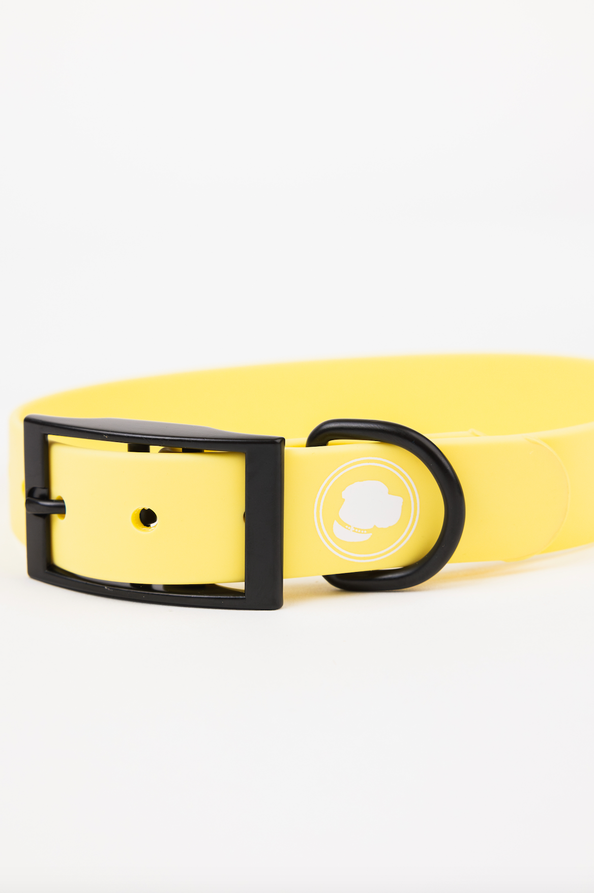 Daffodil Yellow Dog Collar – Weather & Odor Resistant