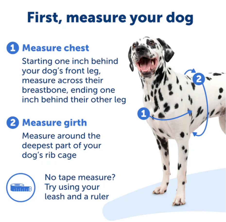 Dog Harness PetSafe Easy Walk No-Pull Walking Vest Black Small - Detail Angle 4 | Majestic Pet Kingdom