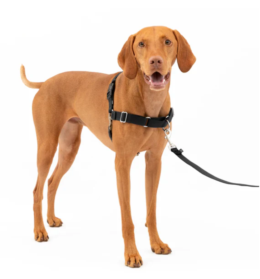 Dog Harness PetSafe Easy Walk No-Pull Walking Vest Black Med