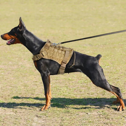 Tactical Camouflage Dog Vest Harness for Medium and Large Dogs,Easy Control and Comfortable for Hiking ,Training, and Outdoor - khaki | Purrfect Pet Kingdom