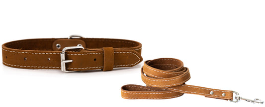 Dog Collar and Leash Set Genuine Leather Hunting Style Kit