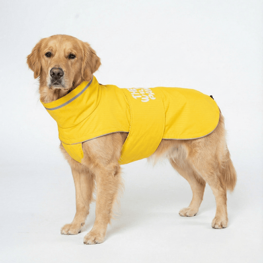 WildGuard Rain Coat - Majestic Pet Kingdom