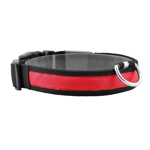 GBruno LED Dog Collar USB | Purrfect Pet Kingdom