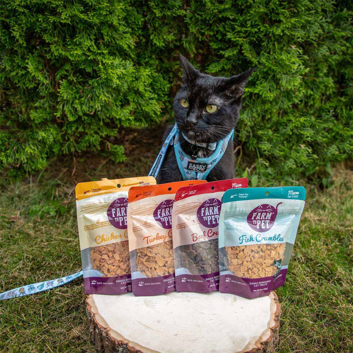 Cat Treats Beef Crumbles High-Protein Freeze-Dried Snacks
