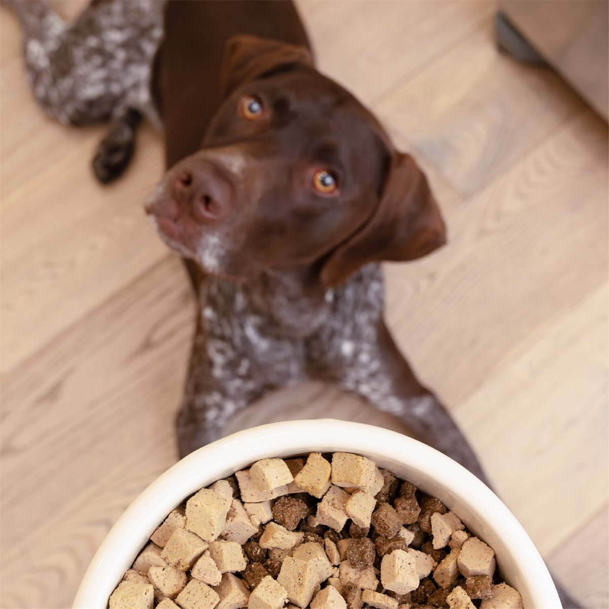 Dog Food Topper Beef Formula Meal Enhancer Protein Booster
