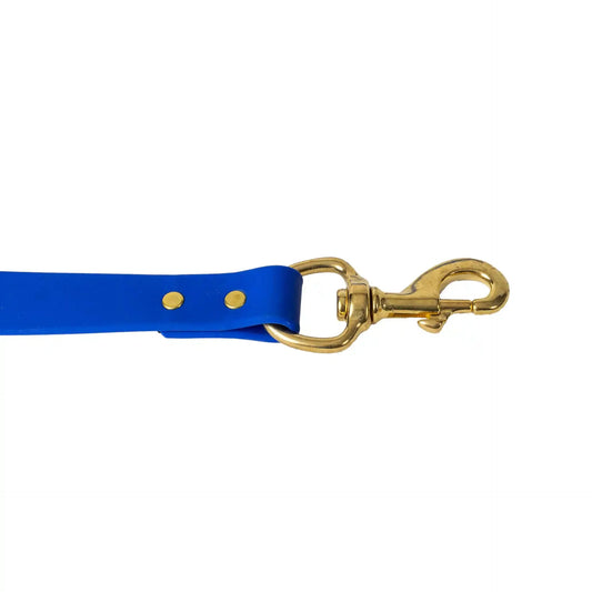 Heavy-Duty Waterproof Dog Leash - Blue Pet Lead